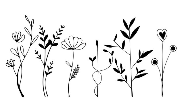 Pictures Of Flowers Clip Art Black And White Printable Infoupdate