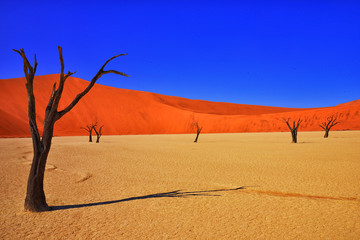 sossusvlei namibia 