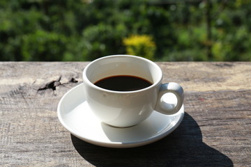 Coffee break at the jungle