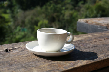 Coffee break at the jungle