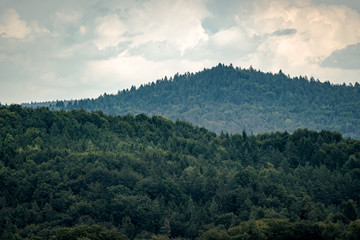A forest mountain under heavy clouds