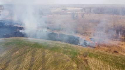 Forest and field fire. Dry grass burns, natural disaster. Aerial view. After the fire