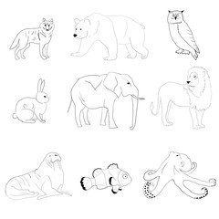 table with animals set: wolf bear owl hare elephant lion walrus fish octopus