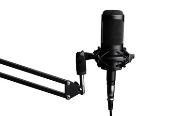 Studio condenser microphone, on white background.