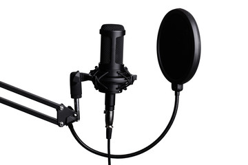 Professional condenser studio microphone on white background.