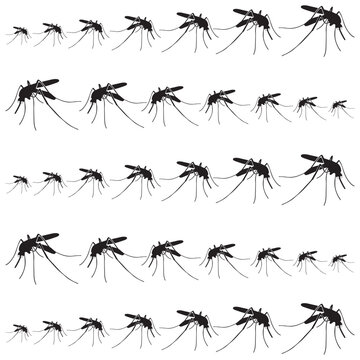 Mosquito insect animal logo vector illustration template
