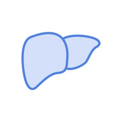 Vector liver icon flat illustration isolated on white background