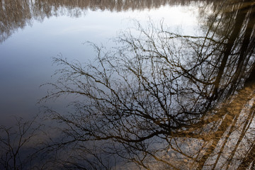 Fototapeta na wymiar lake in spring park, reflection of trees, background