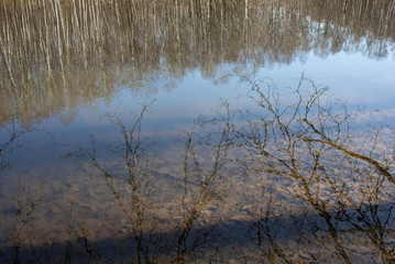 lake in spring park, reflection of trees, background