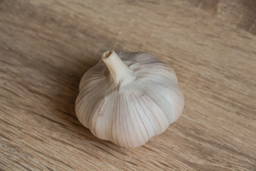 one white winter garlic close-up on a wooden background