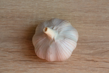 one white winter garlic close-up on a wooden background