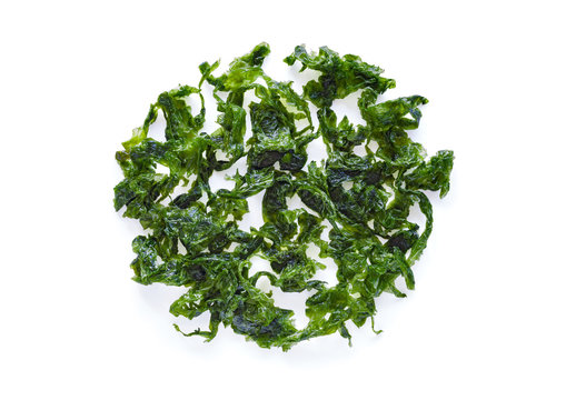 Sea lettuce isolated on white background