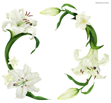 Tropical wreath with white lily and freesia, traced watercolor