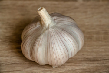 one big white winter garlic close-up on a wooden background 