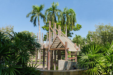 Fototapeta na wymiar Palm trees summer holiday recreation outdoor background.NEF