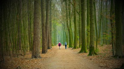Spaziergänger im Wald
