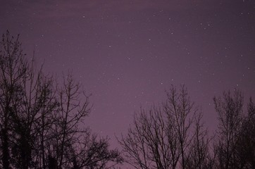 Cosmic night sky photo with trees