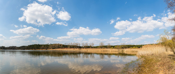 pond with reeds near sytno village with cloudy sky