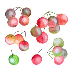 Set of colorful watercolor berries: light juicy drawing, isolated.