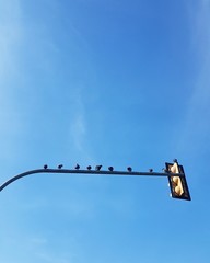 traffic light on the sky