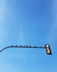 Obraz premium traffic light on the sky