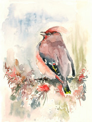 bird on abstract watercolor background