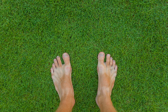 Bare Feet On The Green Grass