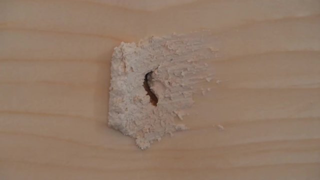 the worker puts putty on a hole in a wooden wall