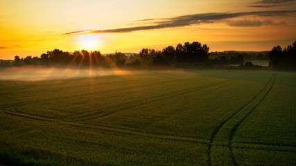 Obraz premium Spring morning