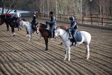 Children on horseback in the paddock