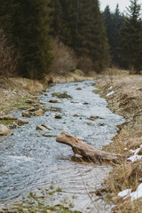 Spring forest, mountains, macro, lake, rocks