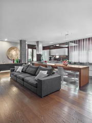 inteirors of a modern living room and the kitchen