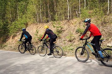 Fototapeta premium group of cyclists on a forest road