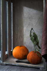 Two dried tangerines in an inverted wooden decorative box on black background