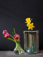 the narcissus in an inverted grey wooden decorative box on a black background. Copy space