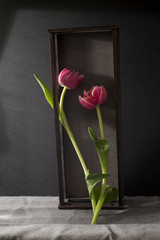 Three pink tulips stand in a wooden box.