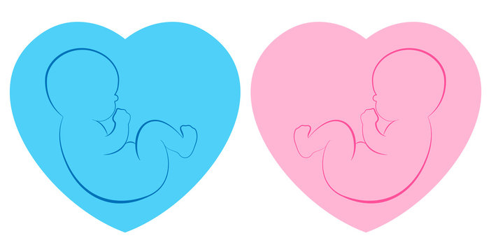 Twins pictogram. Baby boy and baby girl on blue and pink heart framed background. Isolated outline vector illustration.
