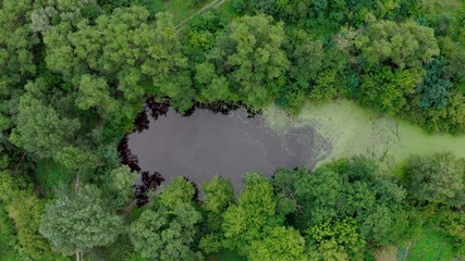 top view of a mysterious scary lake, a strange place with unusual energyin the green northern Pine forests, lungs of the planet, on the bay - Aerial Flight 
