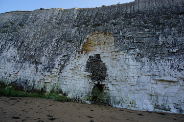 Limestone cliff, Botany Bay, Kent, UK