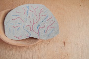 Paper brain on a spoon. Healthy food for the brain. We increase mental activity with the help of...