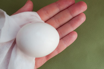Fototapeta na wymiar egg in hand