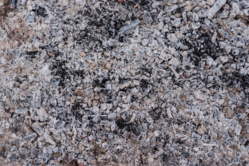 Burnt fire embers. Ashes. Copy space.