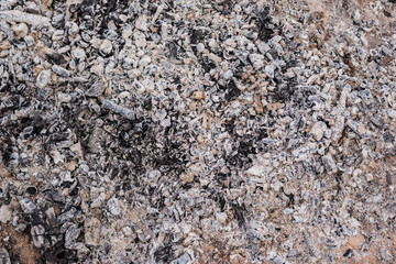 Burnt fire embers. Ashes. Copy space.