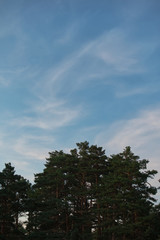 Acuarelas en el cielo