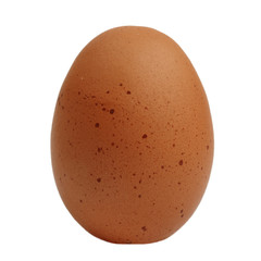 close up of egg isolated on white background