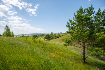 hills overgrown with trees and grass on a sunny day