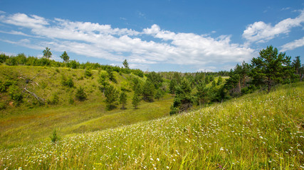 hills overgrown with trees and grass on a sunny day © Андрей Пугачев