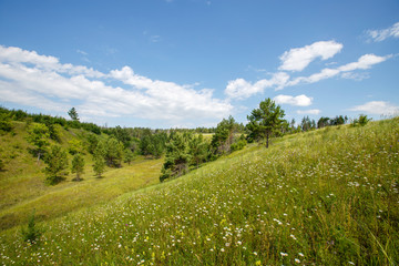 hills overgrown with trees and grass on a sunny day