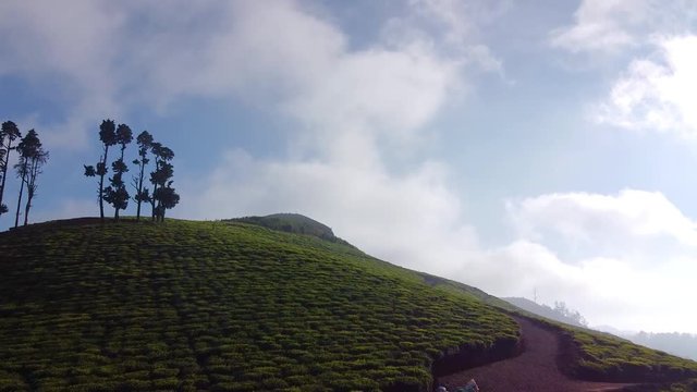 [2.7K] Ooty (India) | Beautiful aerial view of Tea Garden in Ooty | India Drone Footage (2/5)