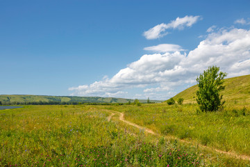 Fototapeta premium country road in the meadow, valley between the hills